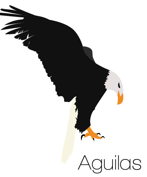 Eagle Bald Euclidean Vector Graphics Logo Transparent PNG Image