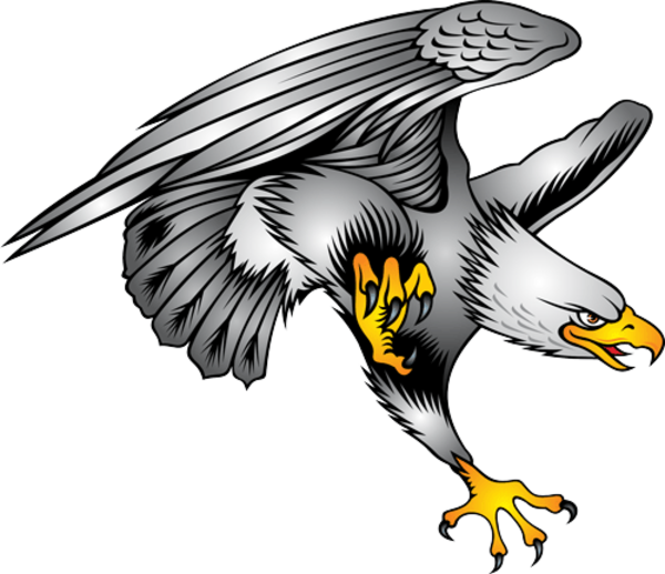 Eagle Designs Tattoo Symbol Bald Illustration Transparent PNG Image