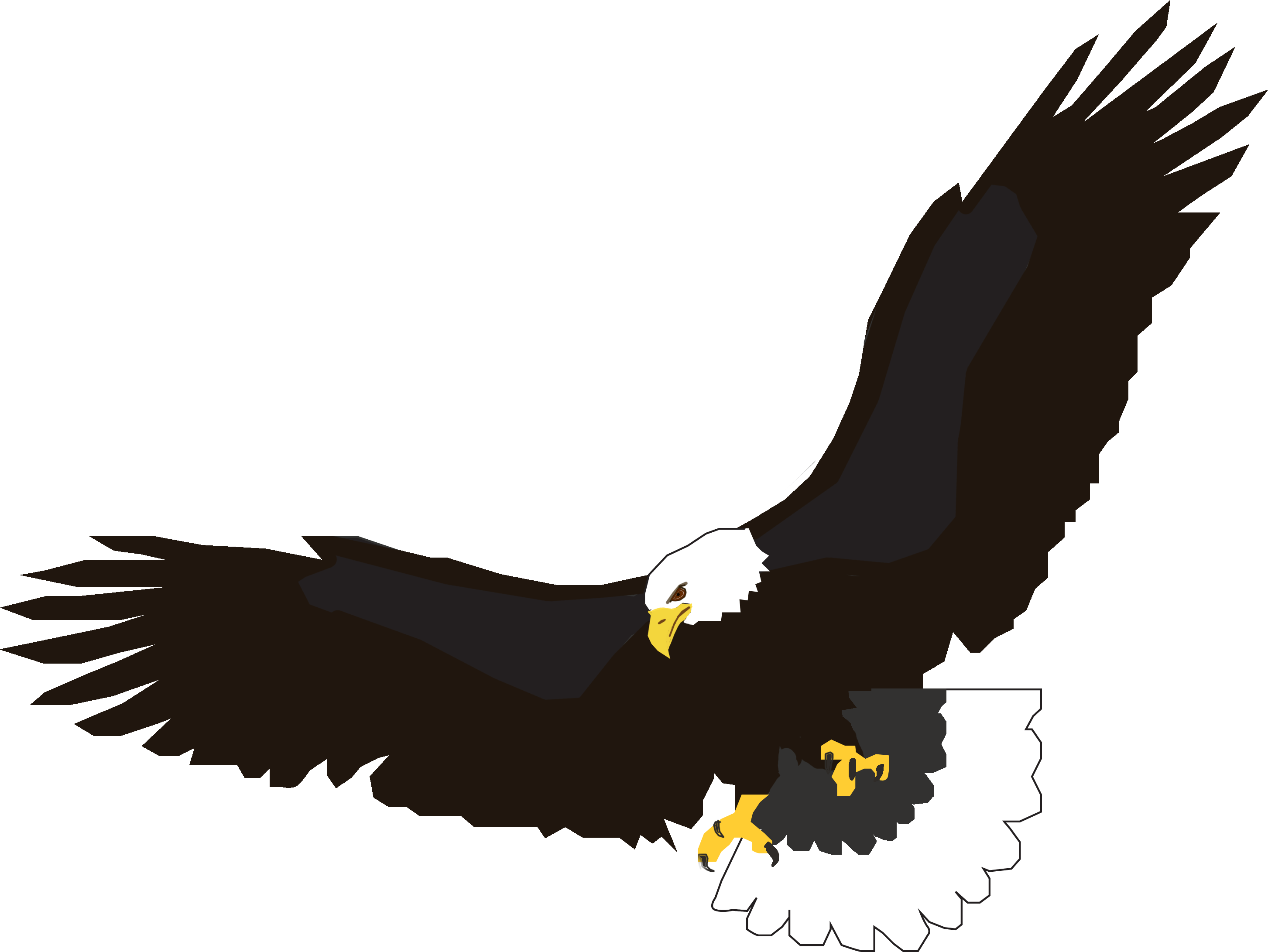 Flying Eagle Png Image Download Transparent PNG Image