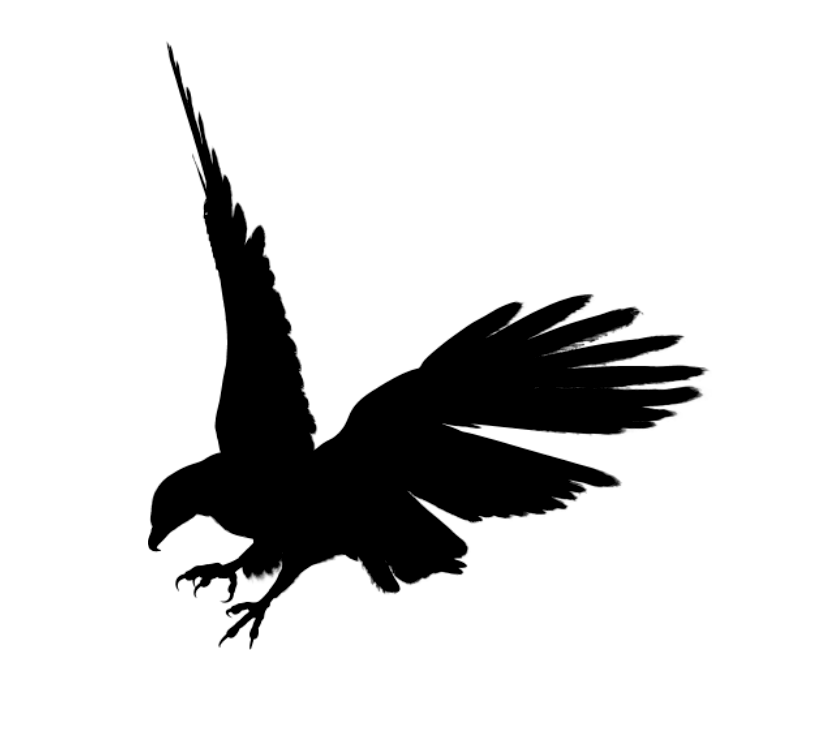 Eagle Black Siluet Png Image Download Transparent PNG Image