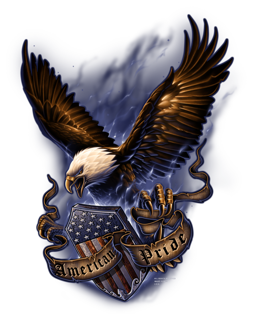 Eagle Of Tshirt Prey Graphics Bird Transparent PNG Image