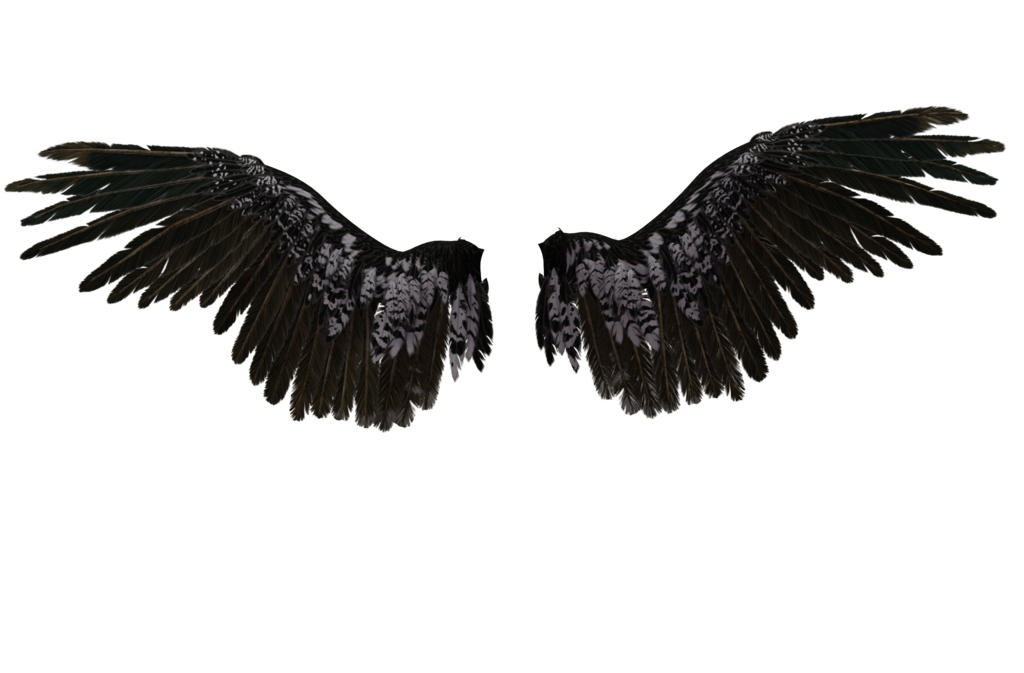 Eagle Neck Drawing Castiel Wings Free HQ Image Transparent PNG Image