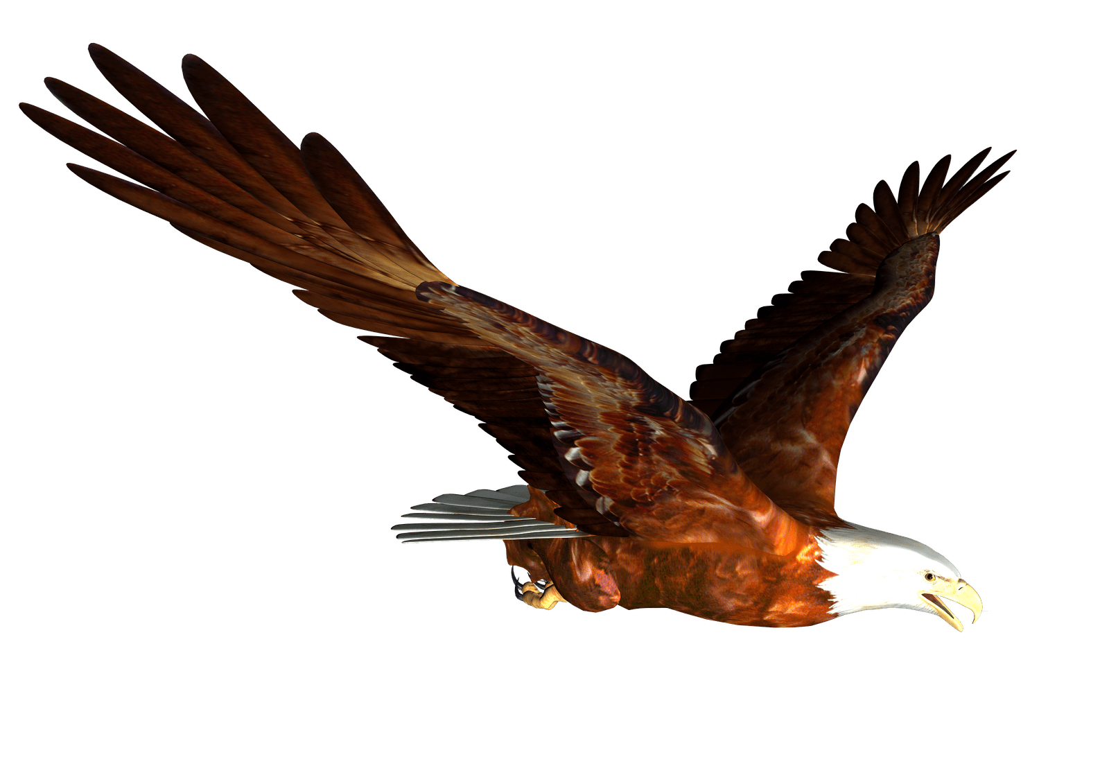 Flying Eagle Png Image Download Transparent PNG Image