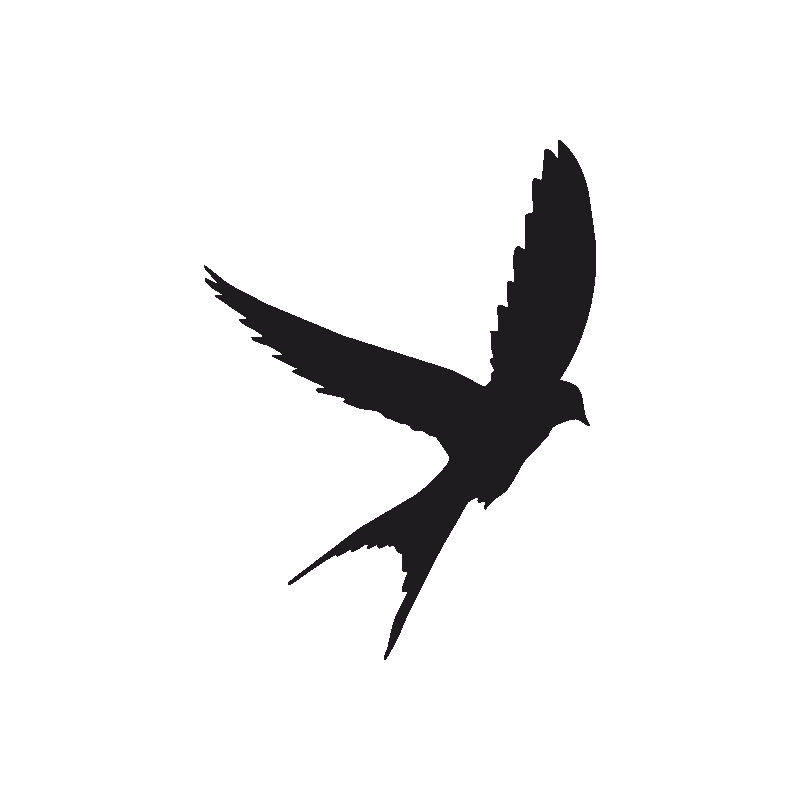 Tattoo Swallow Silhouette Bird Eagle Free Download PNG HD Transparent PNG Image