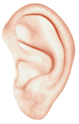 Ear Png Image Transparent PNG Image