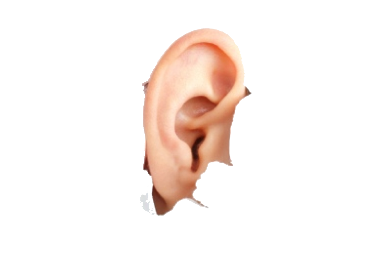 Human Ear Image Transparent PNG Image