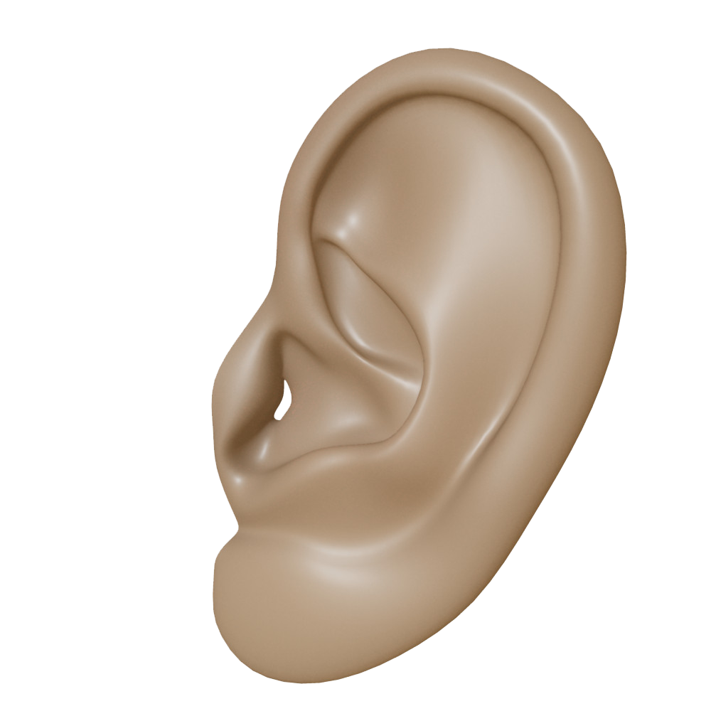 Ear Png Clipart Transparent PNG Image