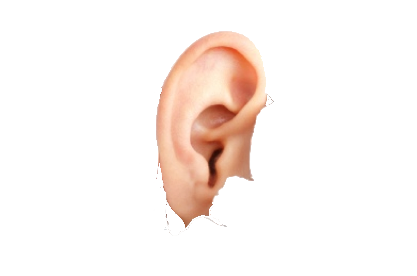 Ear Free Download Png Transparent PNG Image