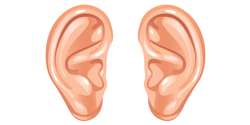 Ear Download Png Transparent PNG Image