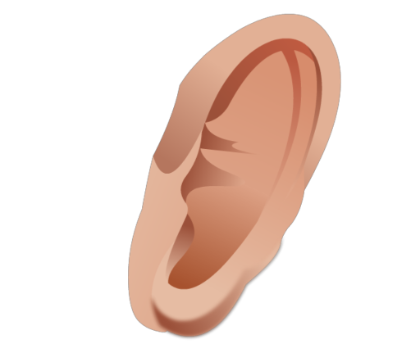 Ear Png Transparent PNG Image