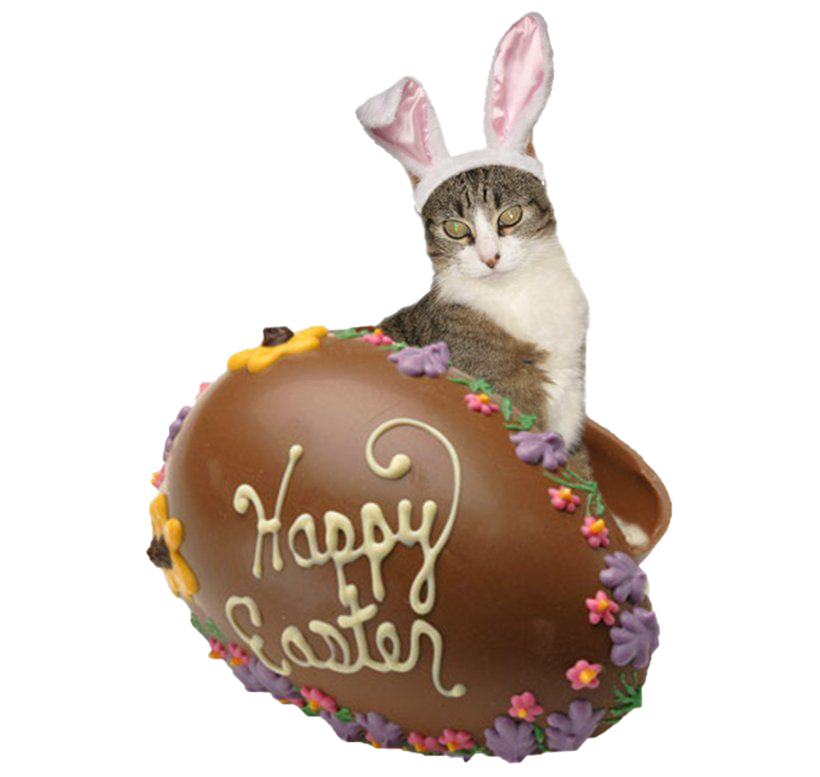 Easter Bunny Chocolate Free Clipart HD Transparent PNG Image