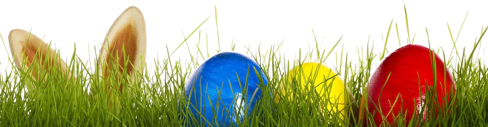 Egg Grass Easter HD Image Free Transparent PNG Image