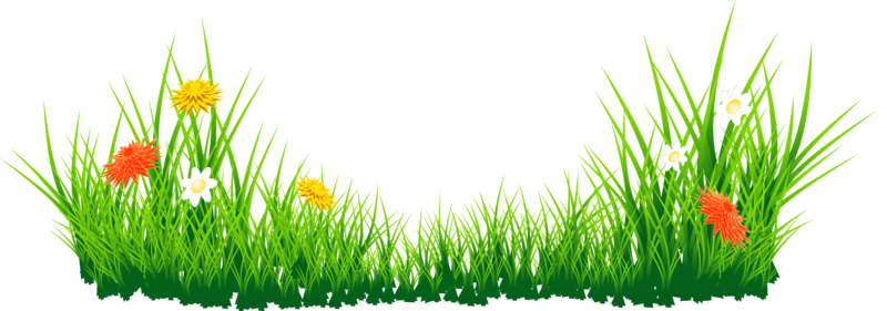 Egg Grass Easter Free Download PNG HD Transparent PNG Image