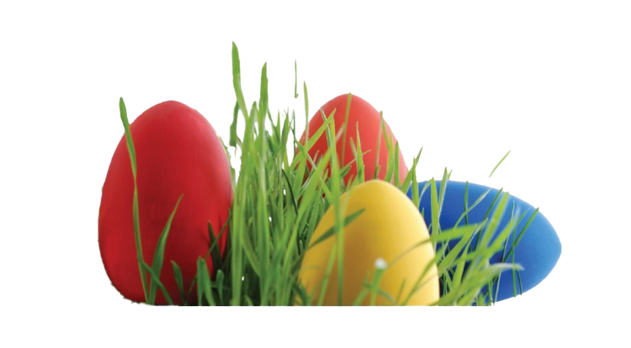 Egg Grass Easter Photos Free HQ Image Transparent PNG Image