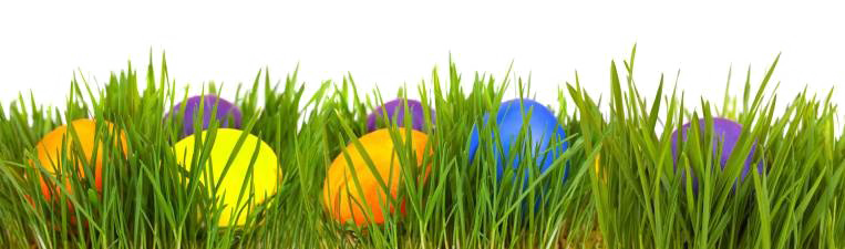 Egg Grass Easter Download Free Image Transparent PNG Image