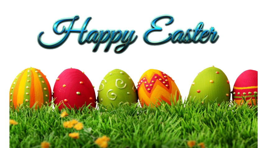 Egg Grass Easter Free Photo Transparent PNG Image