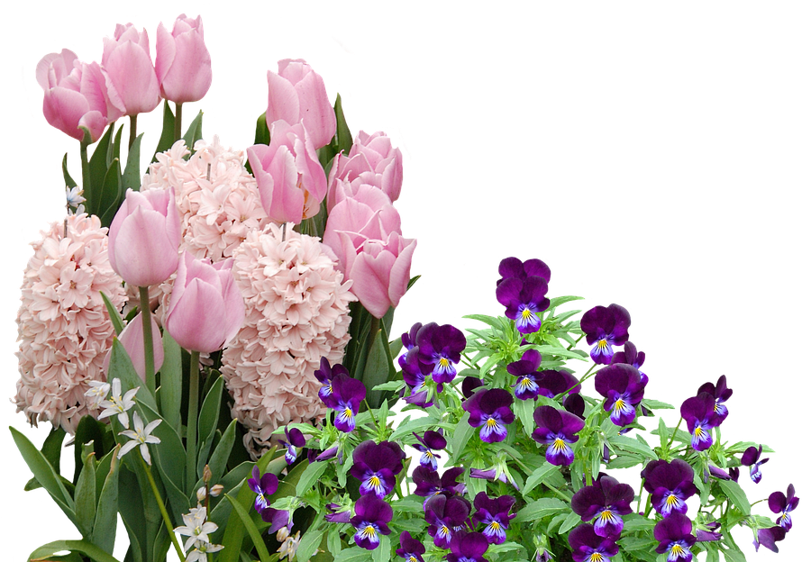 Flower Easter Free Download PNG HD Transparent PNG Image