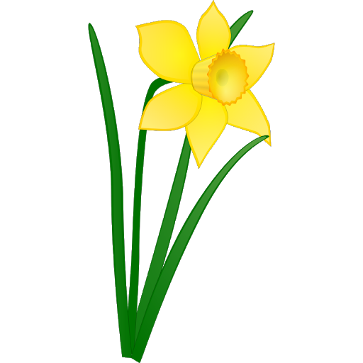 Flower Easter Free Photo Transparent PNG Image