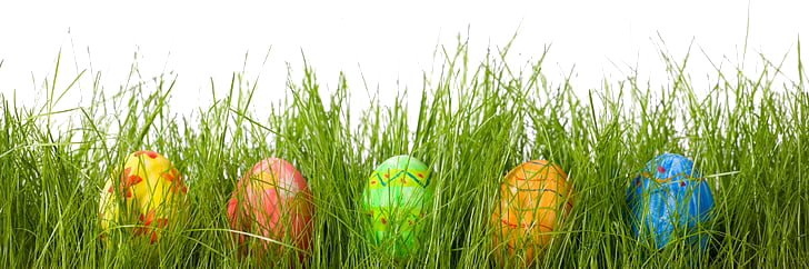 Egg Grass Easter PNG Free Photo Transparent PNG Image