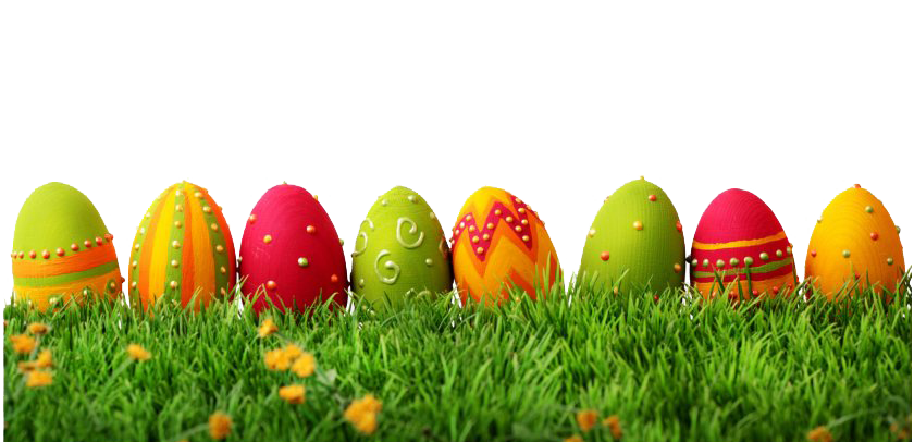 Egg Grass Easter Picture Free Transparent Image HD Transparent PNG Image