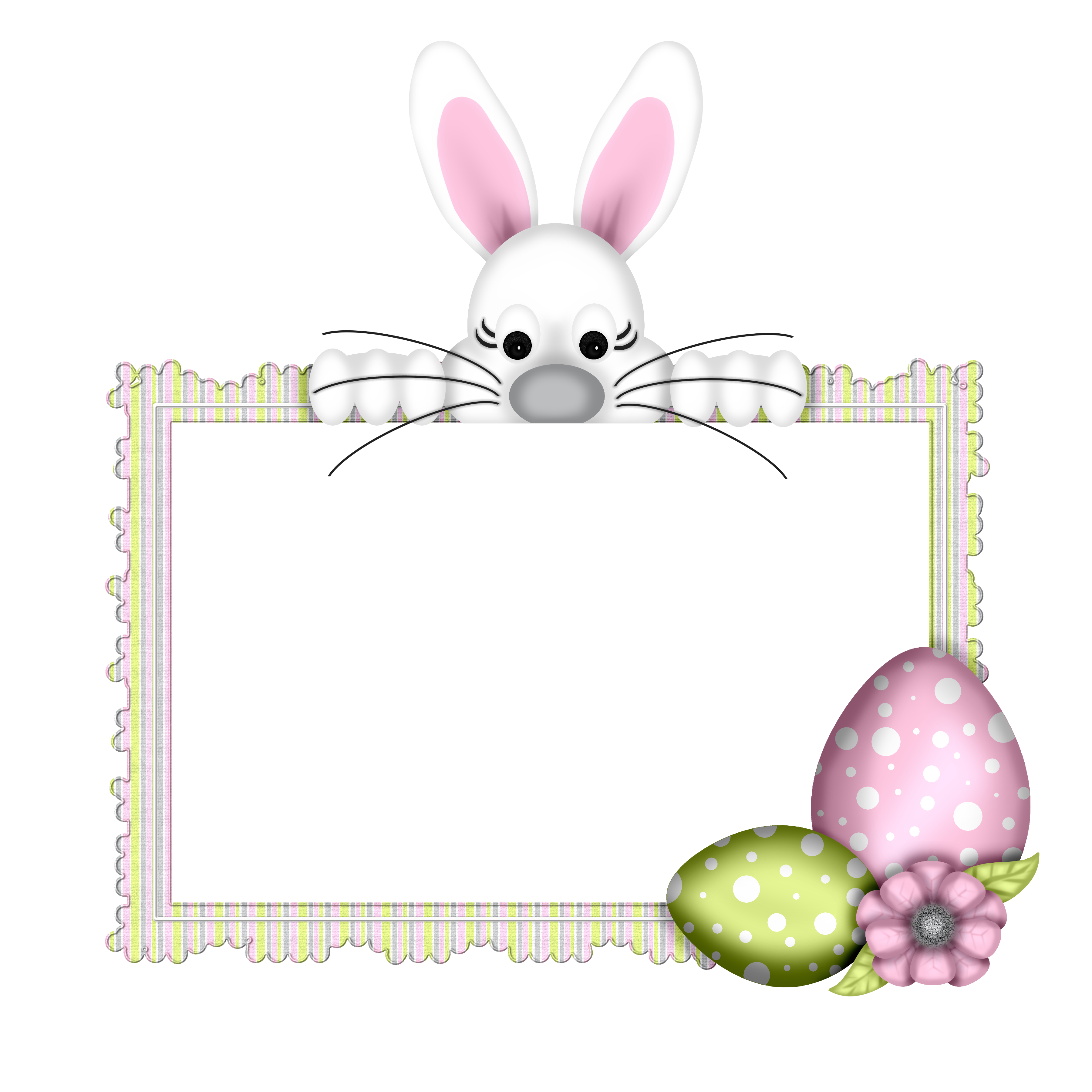 Bunnies Hare Easter Photography Egg Bunny Transparent PNG Image