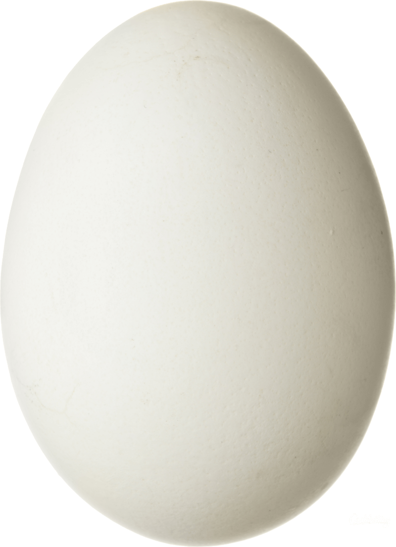 Egg Png Image Transparent PNG Image