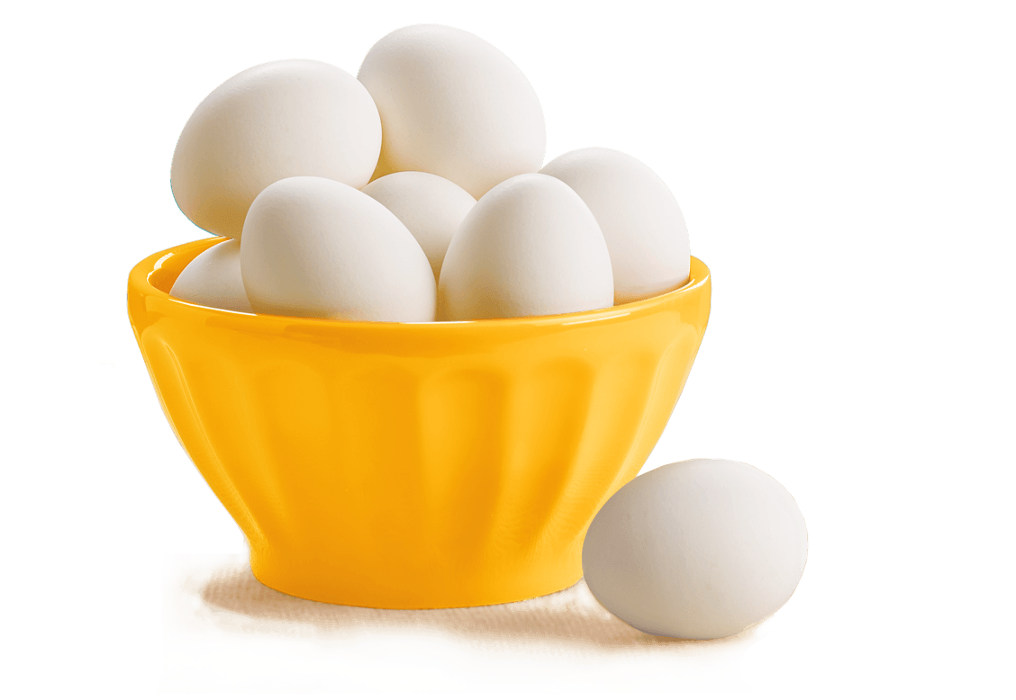 Bowl Egg Free Clipart HQ Transparent PNG Image