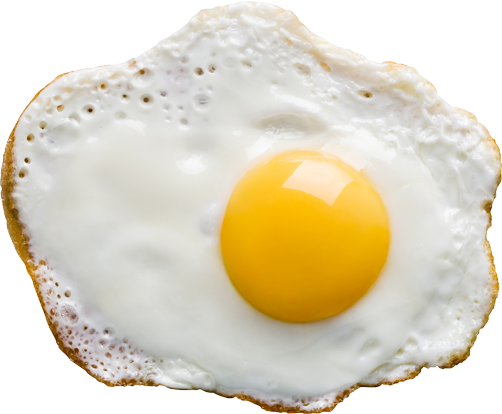 Fried Egg PNG Download Free Transparent PNG Image