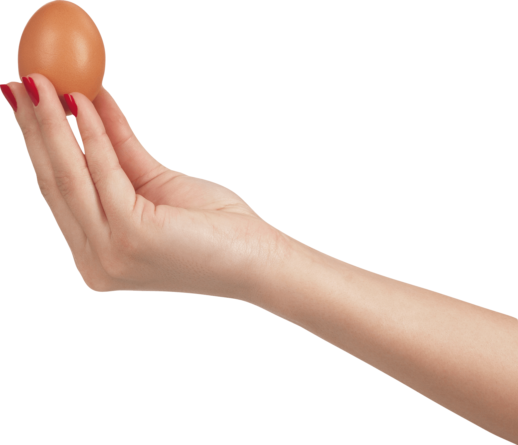 Egg In Hand Png Image Transparent PNG Image