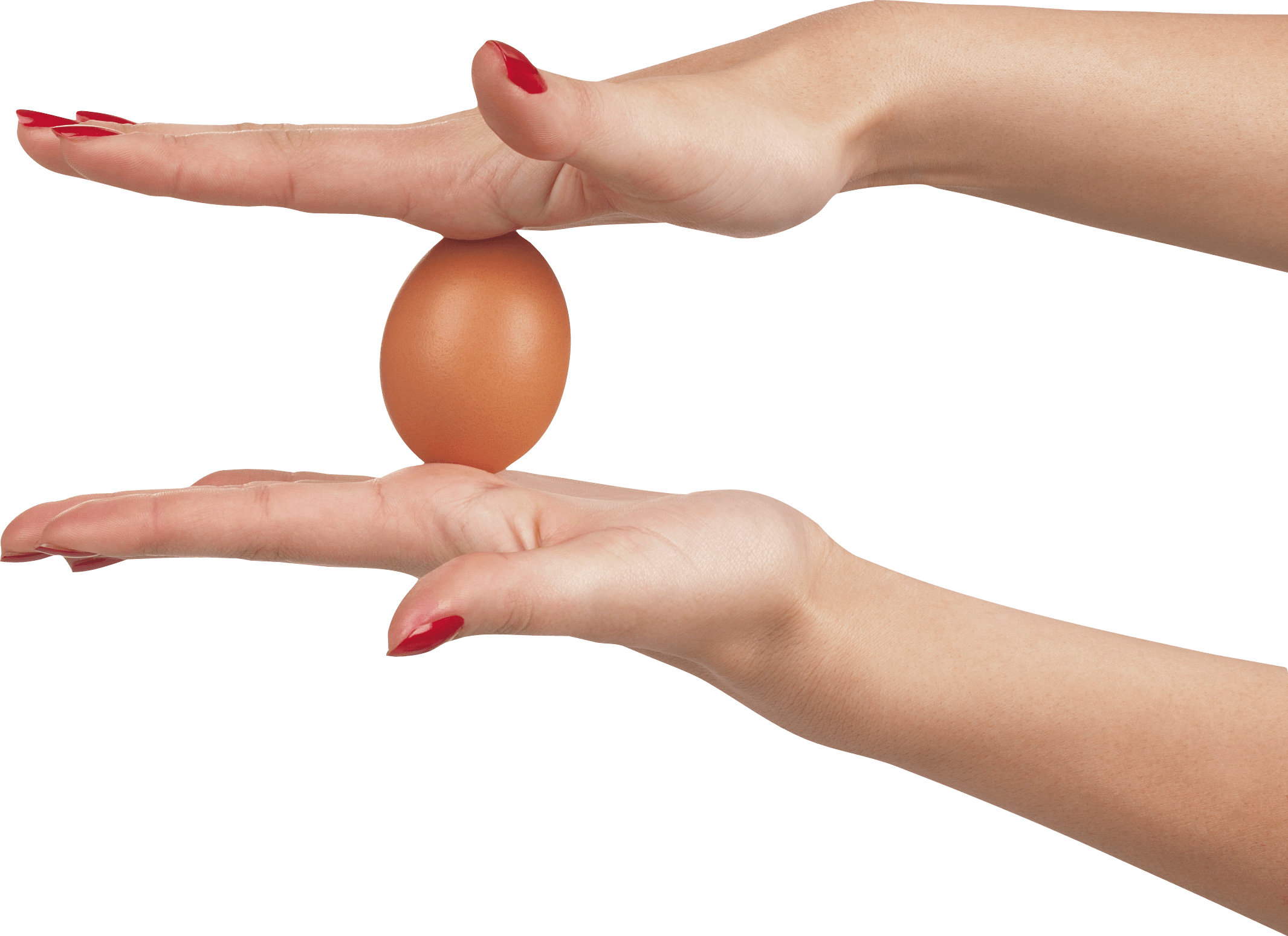 Egg In Hands Png Image Transparent PNG Image