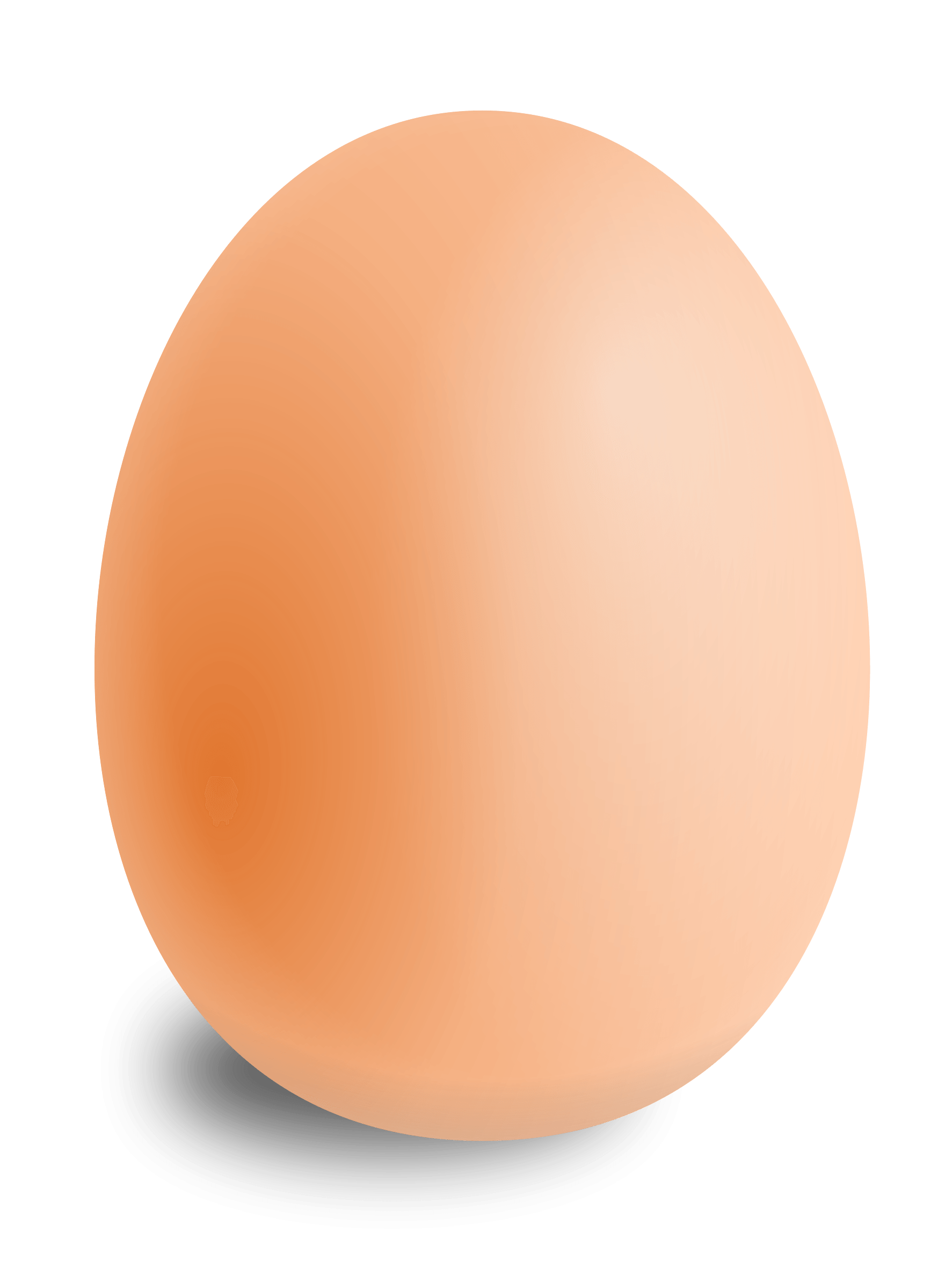 Egg Png Image Transparent PNG Image