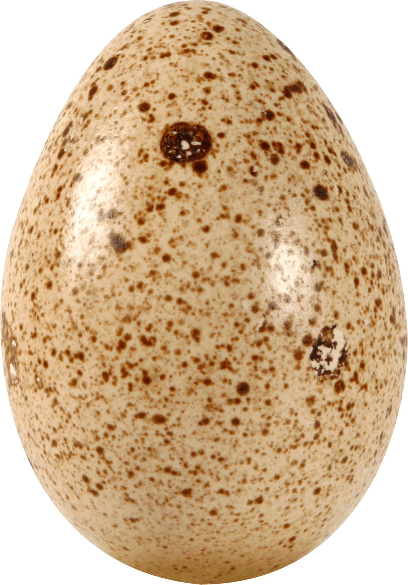 Egg Png Image Transparent PNG Image