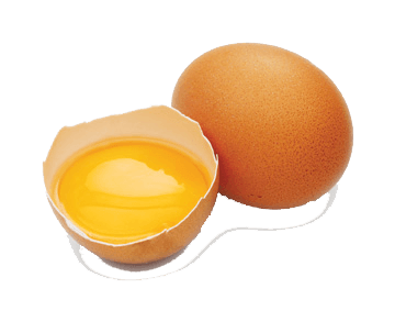 Cracked Egg Png Image Transparent PNG Image