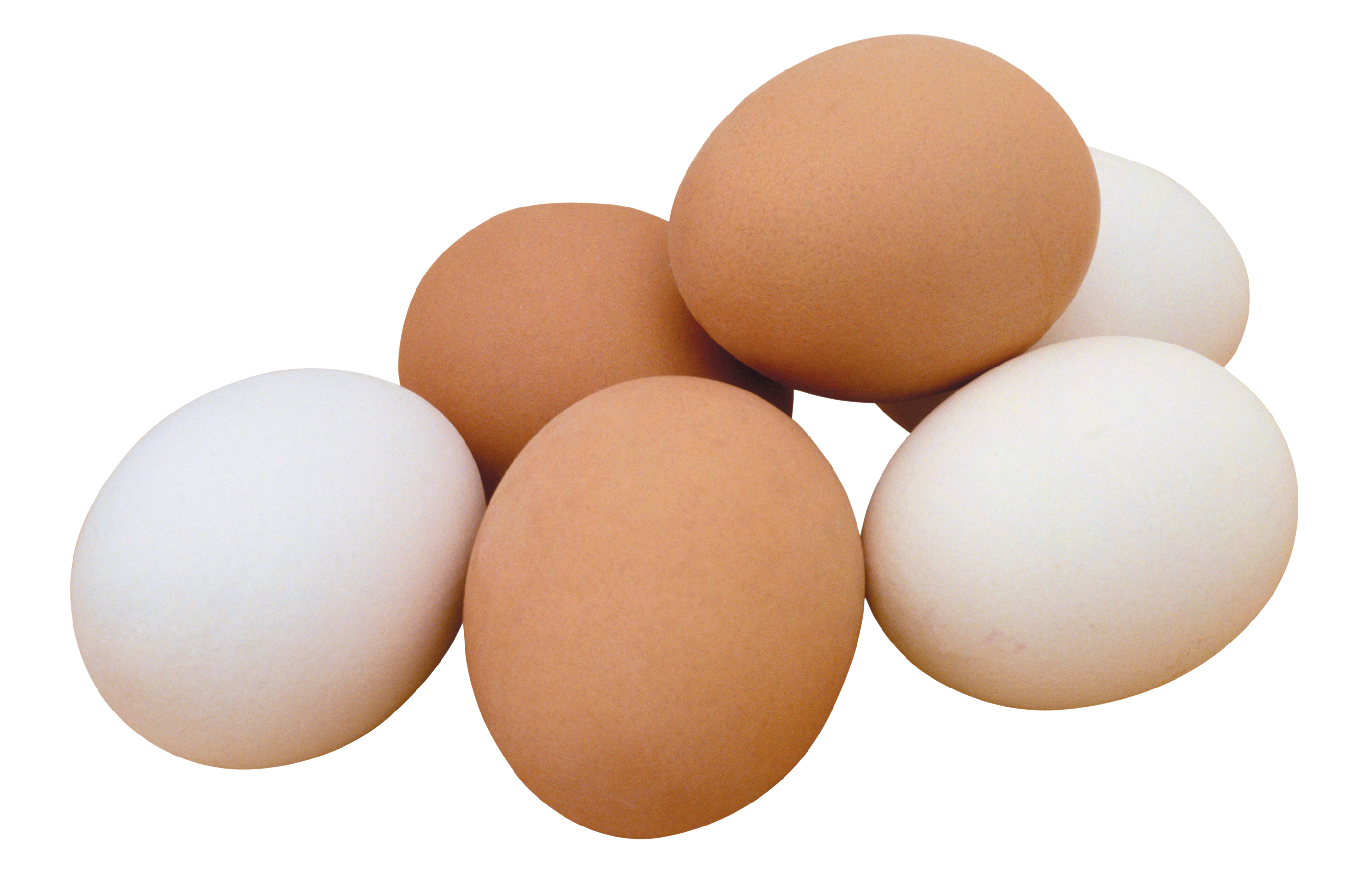 Egg Transparent Transparent PNG Image