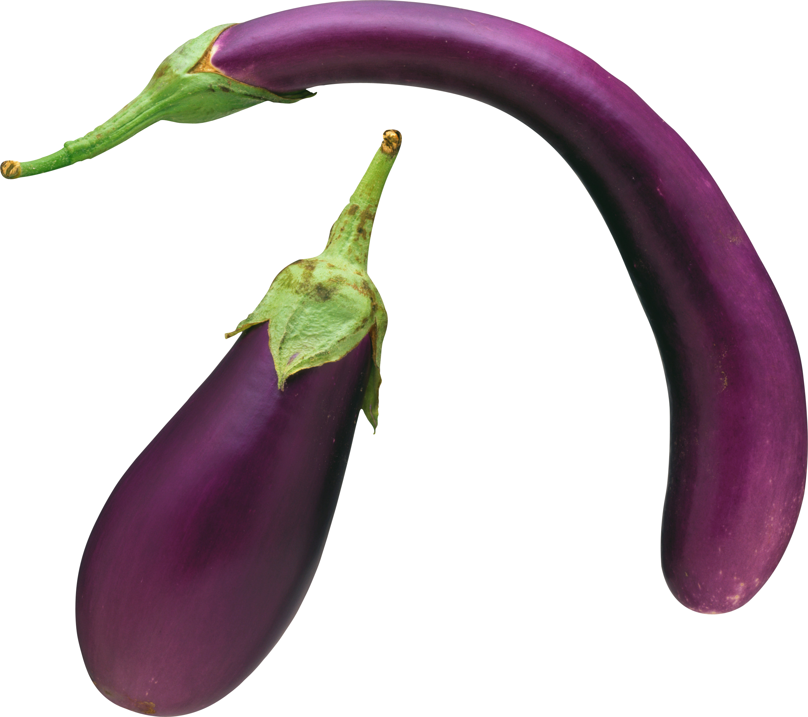 Brinjal Eggplant PNG Download Free Transparent PNG Image