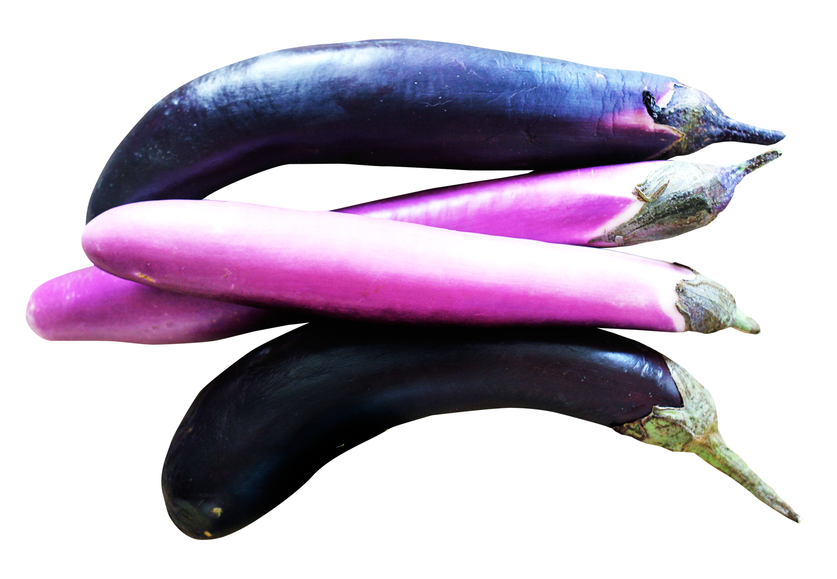 Brinjal Eggplant Bunch Free Download PNG HD Transparent PNG Image