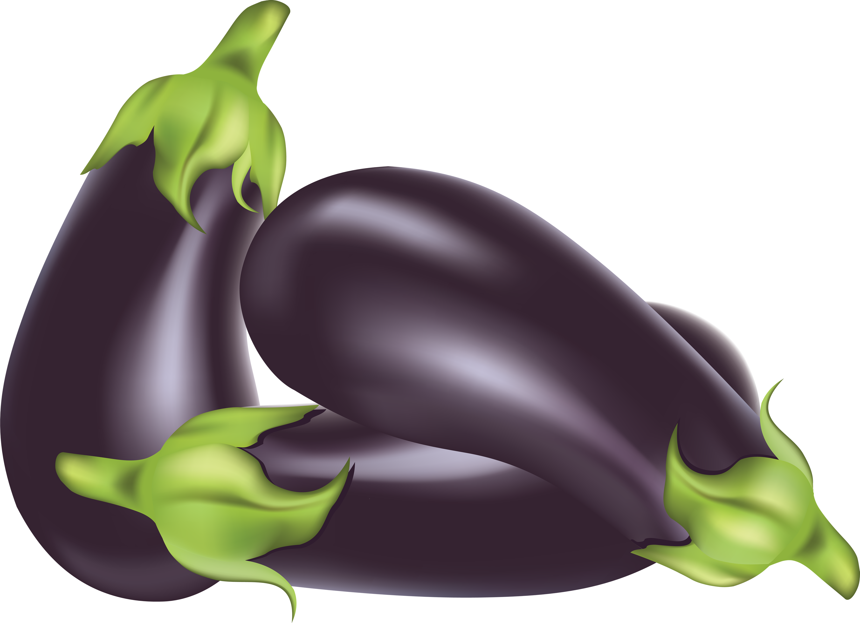 Brinjal Eggplant Bunch Free Clipart HD Transparent PNG Image