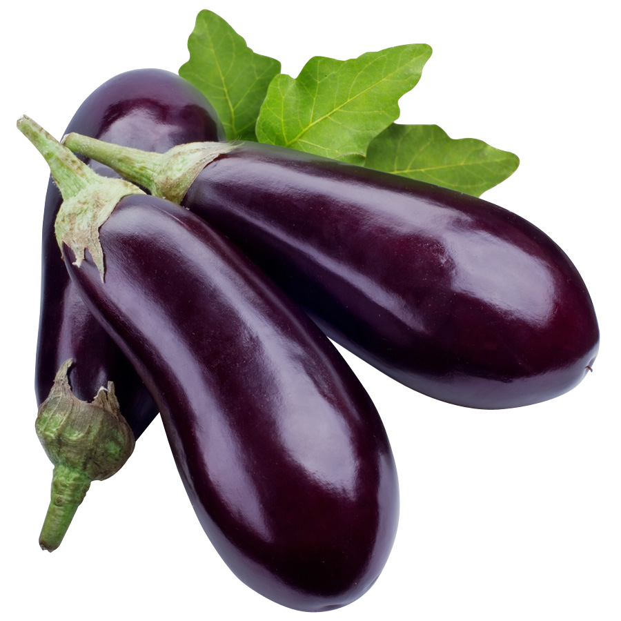 Brinjal Bunch Free Clipart HQ Transparent PNG Image