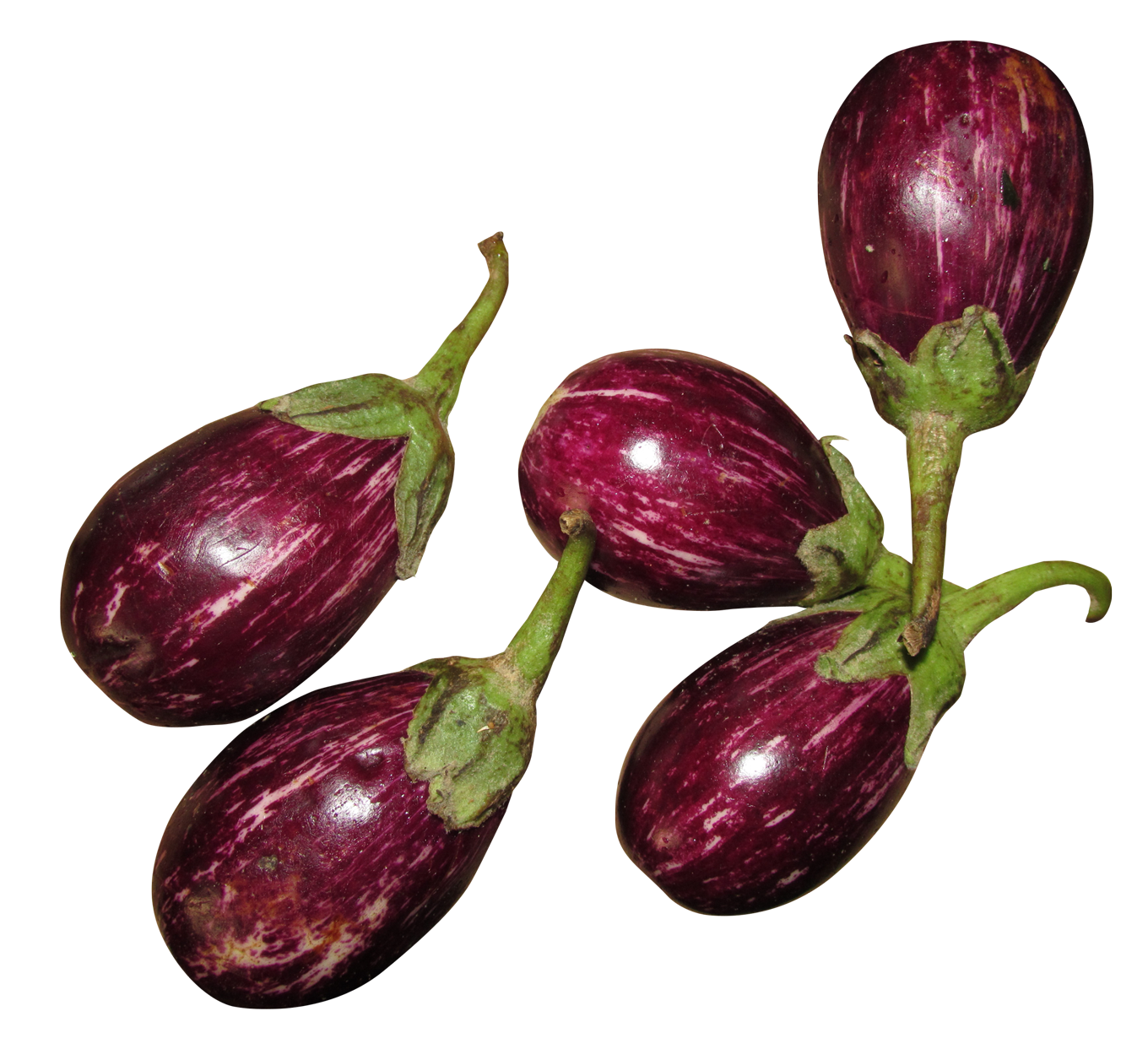 Brinjal Bunch Free Download Image Transparent PNG Image