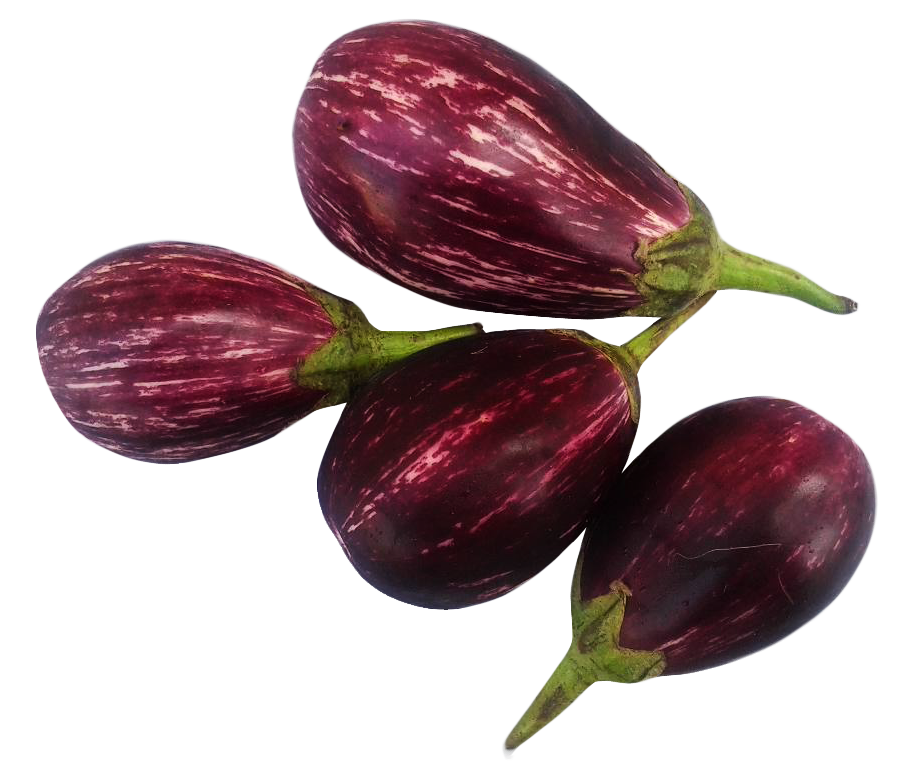 Brinjal Bunch Free HQ Image Transparent PNG Image