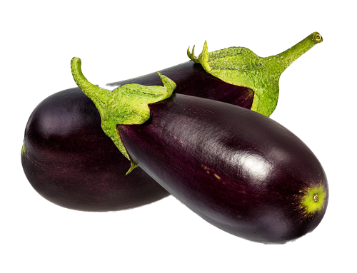 Picture Brinjal Eggplant Free Transparent Image HQ Transparent PNG Image