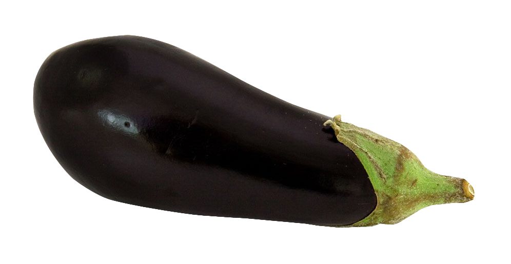 Single Brinjal Eggplant HQ Image Free Transparent PNG Image