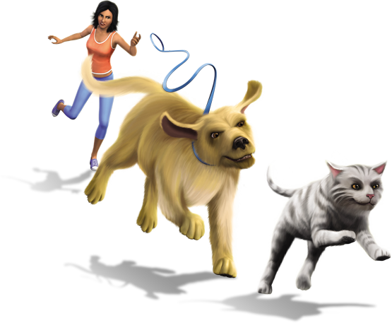 Sims Cat Cats Pets Mammal Dogs Transparent PNG Image