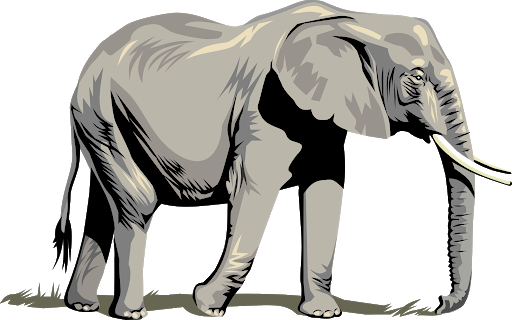 Picture Vector Elephant African HQ Image Free Transparent PNG Image