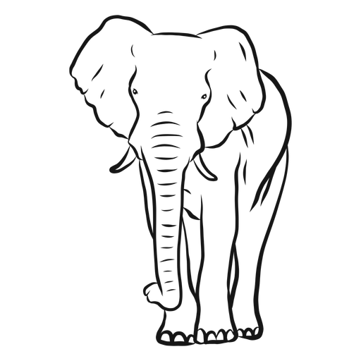 Vector Elephant Download HD Transparent PNG Image