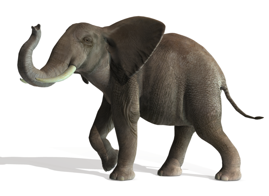 Elephant File Transparent PNG Image