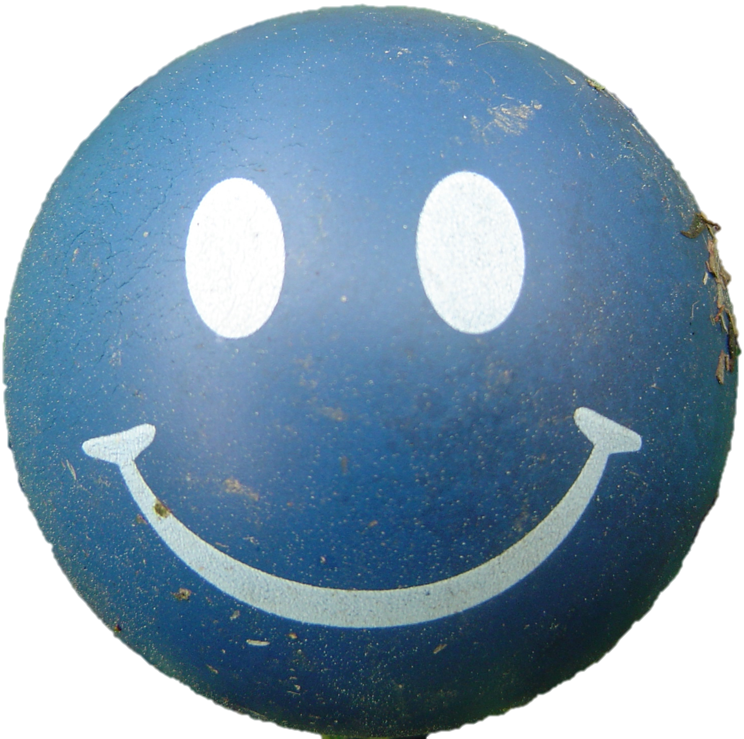 Picture Face Happy HD Image Free Transparent PNG Image