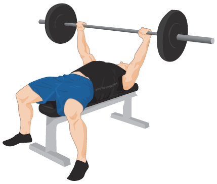 Exercise Bench Png Transparent PNG Image