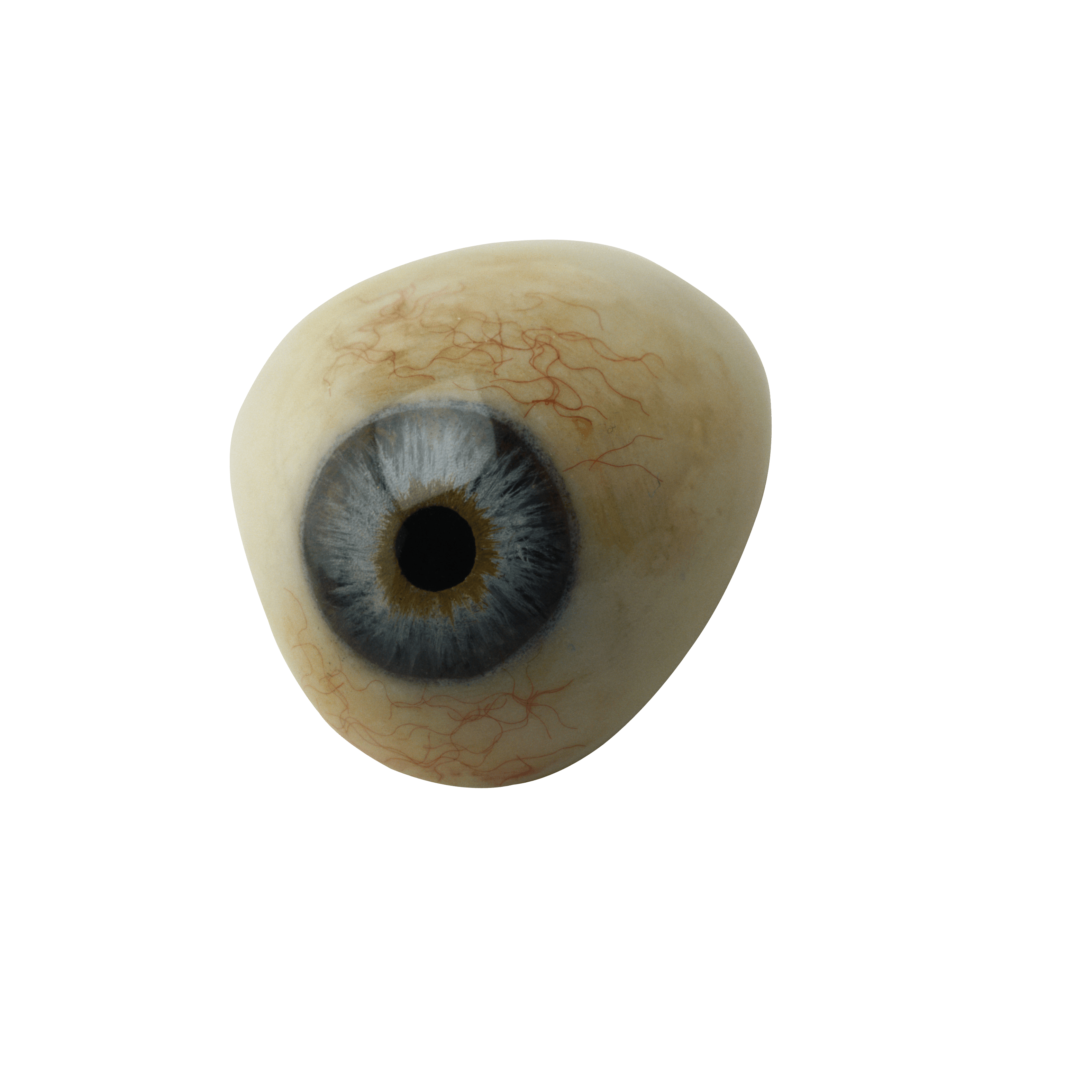 Eye Png Image Transparent PNG Image