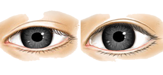 Real Eye Clipart Transparent PNG Image